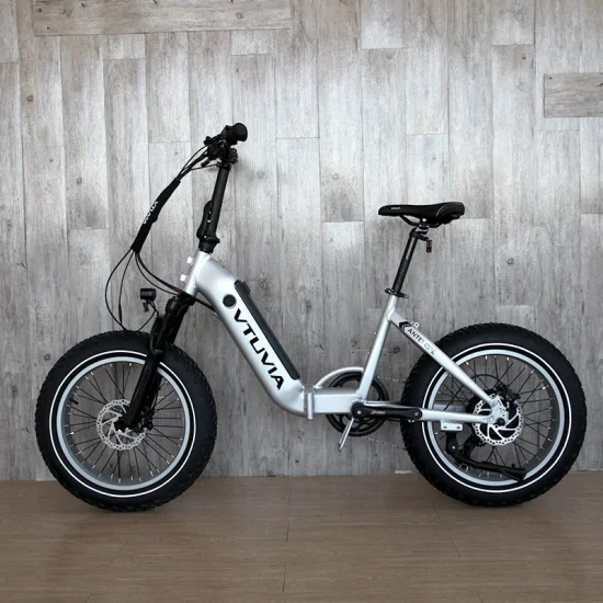 Vtuvia 접이식 스텝 스루 전기 자전거 20 인치 지방 타이어 750W Ebike 500W 48V 전기 자전거 7 속도 Ebike