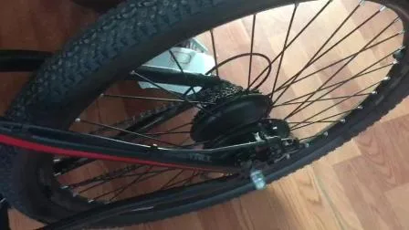 무브러시 모터 Biciletta를 가진 OEM 중국 공장 350W 29er 전기 자전거